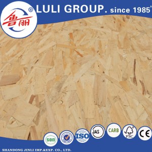 1220X2440mm OSB Board for Furniture Usage