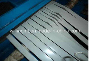 Label Converting Finishing System in Line