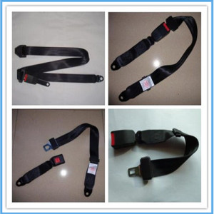 Simple Two-Point Car Safety Belt